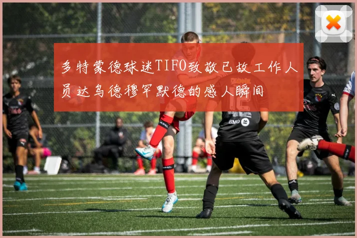 多特蒙德球迷TIFO致敬已故工作人员达乌德穆罕默德的感人瞬间