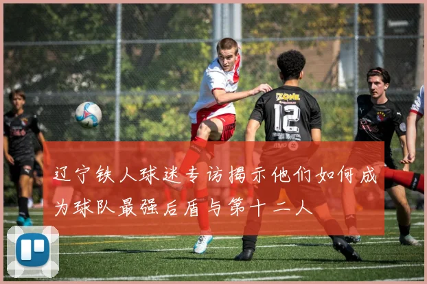 辽宁铁人球迷专访揭示他们如何成为球队最强后盾与第十二人