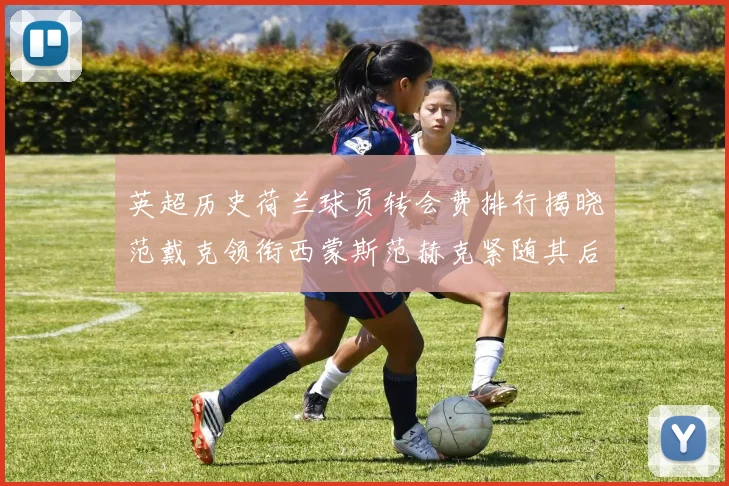 英超历史荷兰球员转会费排行揭晓范戴克领衔西蒙斯范赫克紧随其后